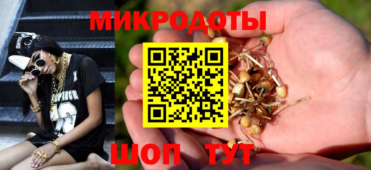 Галлюциногенные грибы Cubensis Сорочинск