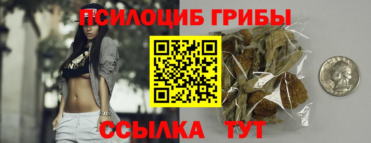 Псилоцибиновые грибы Psilocybe  наркота  Сорочинск  Вход с VPN 